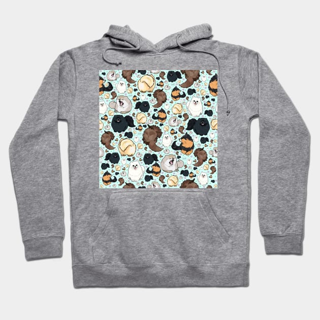 Cute pomeranians Hoodie by nemki